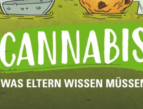 Cannabis an Schulen: Wichtige Infos für Eltern